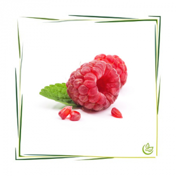 Himbeerensamen Extrakt CO2 BIO 5 l